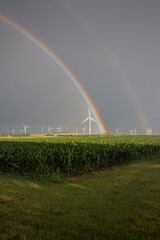 Wall Mural - end of double rainbow over a corn field