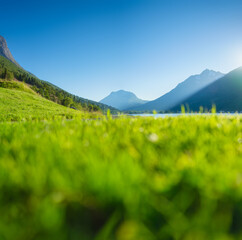 Canvas Print - Nature. View of a mountain valley and a field with fresh grass. Beautiful summer view. Sun rays in the mountains. Mountain landscape during sunset. Clear sky in the evening.