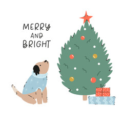 Wall Mural - Christmas card with a holiday scene with funny dog in a knitted sweater and fir tree