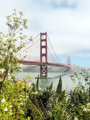 Coastal view of the Golden Gate bridge in San Francisco. American iconic landmark. Cliffs and grass frame the picture. Waves in the bay water. Light fog.