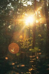 Sticker - A serene scene of sunlight streaming through trees in a dense forest, perfect for nature or outdoor-themed projects