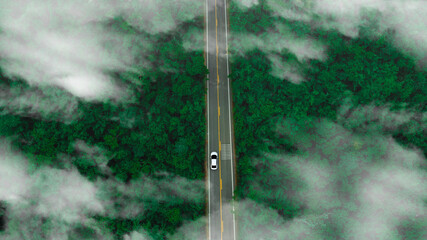 Canvas Print - Aerial view of dark green forest road and white electric car Natural landscape and elevated roads Adventure travel and transportation and environmental protection concept