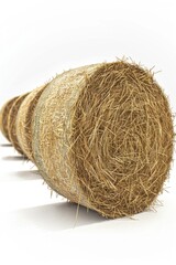 Wall Mural - Stack of Hay