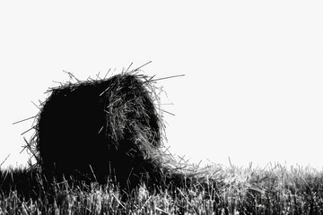 Canvas Print - Hay Bales in Black and White