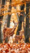 © CoreVisuals - A beautiful doe and fawn standing on orange autumn leaves in a forest, creating a serene nature and wildlife scene during fall.