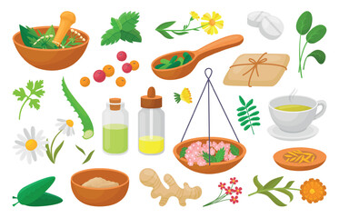 Sticker - Naturopathy elements. Medicinal plants leaves and flowers. Bowl mortar cup with herbal tea berries. Ginger aloe calendula mint, neoteric vector set