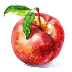 Poster - Deliciously Fresh Nectarine Peaches in Watercolor Illustration