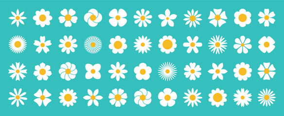white daisy chamomile set. cute round flower plant nature collection. growing concept. spring summer