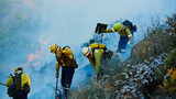 Smoke, firefighter and team in forest together for emergency, disaster management and damage control in bush. Mountain, support and people with fire rescue, volunteer service and nature conservation