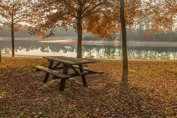 Resting place under the trees at the Henschoterlake in the early autumn morning
