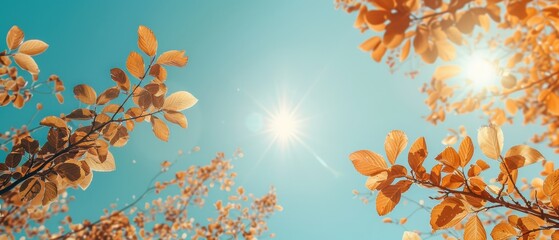 Wall Mural -  The sun brilliantly illuminates the tree's leafy foreground against a backdrop of a blue sky