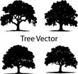 © IftiarJony - Beautifull tree silhouette Vector illustration