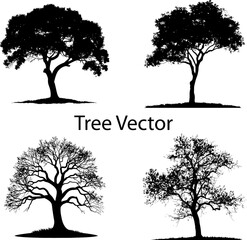 beautifull tree silhouette vector illustration