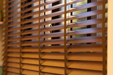 Poster - The window blinds are brown and have a wooden look