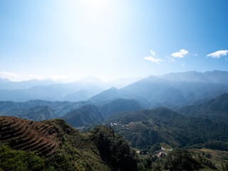 Wall Mural - Rice Terraces on High Mountains
