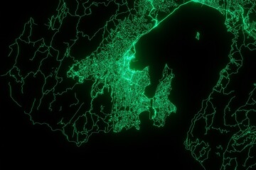 Wall Mural - Map of the streets of Wellington (New Zealand) made with green illumination and glow effect. Top view on roads network. 3d render, illustration