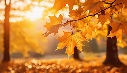 autumn leaves branches and lake background