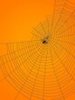 © Pist L. - Delicate Black Spider Web on Orange Background - Minimalist Design with Intricate Details
