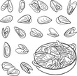 © chekiwart - Mussels set isolated on white background. Sea food simple hand drawn illustration