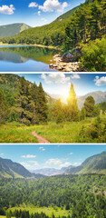 Poster - Pyrenees mountains in Andorra, forest,Bright sunrise,Mountain Lake . Collage. Vertical photo.