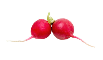 Sticker - Radish isolated on white