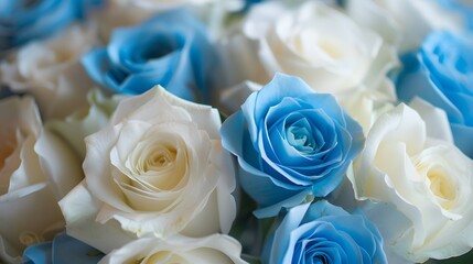 Artificial elegance beautiful colorful blossom rose flowers bouquet. Close up white and blue rose flowers bouquet for Valentine or wedding background and wallpaper. 