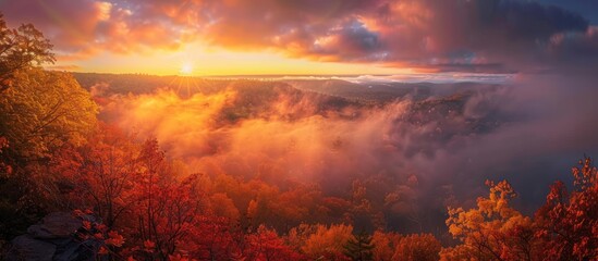 Canvas Print - Golden Autumn Sunrise