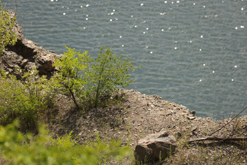 Rocky shore of a lake in the mountains