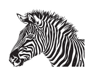 Poster - zebra black and white illustration