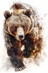 Poster - A single grizzly bear walks across a white surface, with no distractions or background elements