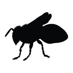 Wall Mural - bee silhouette vector design. black on a white background.