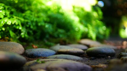 Wall Mural - Blur background green park garden nature bright sunny forest. Blurry outdoor park in spring time glowing shinny day template with sunlight bokeh. Abstract blurred background banner copy space.