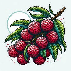 Wall Mural - lychee fruit on a transparent background
