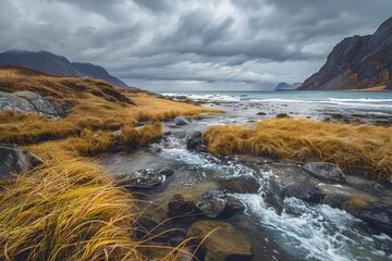 Wall Mural - landscape photography, the most beautiful place in Norway with mountains and beach on Lofoten Islands. yellow grass and rocks, stormy weather. The colors of nature are stunning. A small stream flows i