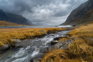 Wall Mural - landscape photography, the most beautiful place in Norway with mountains and beach on Lofoten Islands. yellow grass and rocks, stormy weather. The colors of nature are stunning. A small stream flows i