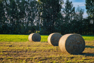 Heuballen - bales of hay - field - harvest - summer - straw - farmland - blue cloudy sky - golden - beautiful - freshly - countryside - haystacks - harvesting - background	