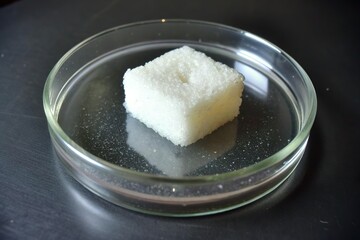 sugar cube in petri dish. Artificial sugar and sweetener