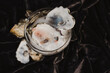 © Cavan Images - Fresh oysters in a coupe on a dark background.