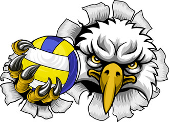 Sticker - An eagle or hawk bird volleyball animal sports mascot holding a volley ball in his claw