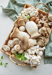 Wall Mural - Assortment of various raw mushrooms