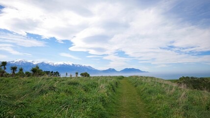 Sticker - Scenic view of a grassy path leading to the ocean with mountains in New Zealand