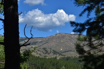 Canvas Print - View of a mountain landscape framed by trees under a clear blue sky with fluffy clouds