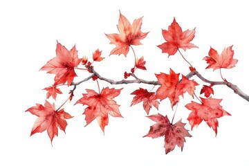 Wall Mural - vibrant autumn maple leaves illustration