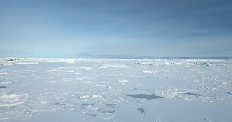 Wall Mural - Frozen snow covered polar ocean surface under clear blue sky. White blanket desert land in Antarctica, winter landscape. Discover South Pole. Antarctic travel and exploration. Low angle drone flight