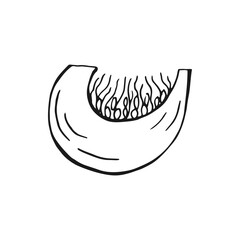 Wall Mural - Pumpkin slices. Hand drawn vector illustration.
