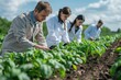 © Thanyaporn - A group of people are working in a field of green plants