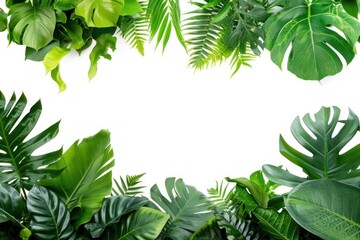 Wall Mural - Lush tropical green leaves frame