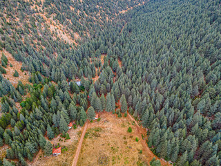 Canvas Print - The scenic view of Cedar Forest Research Institute in Çamkuyular, Elmalı, Turkey