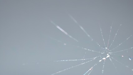  a spider web hanging in the middle of a window,