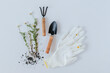 © Westend61 - Gardening equipment and chamomile sprouts lying against white background